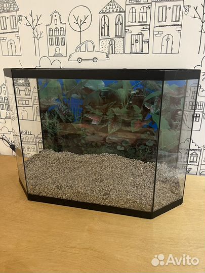 Аквариум террариум