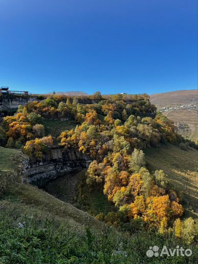 Гид экскурсовод