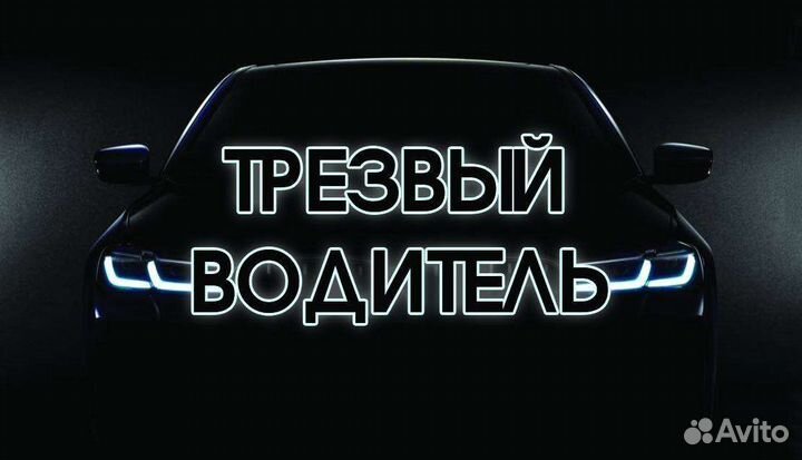 Трезвый водитель