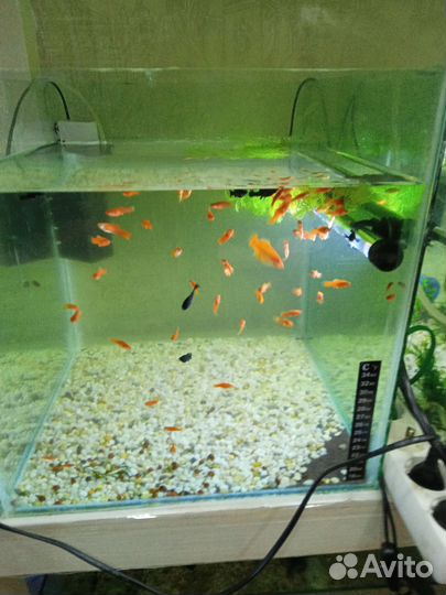 Украшение для аквариума