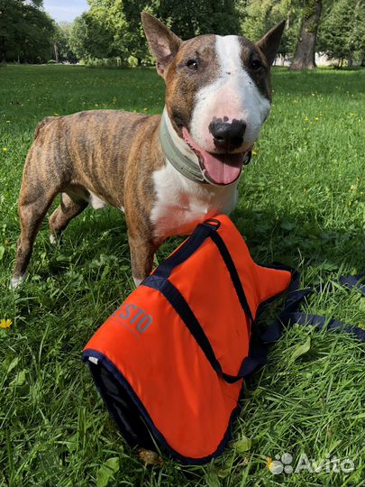 Спасательный жилет для собак besto L