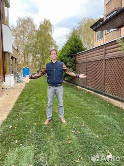 Рулонный газон 100 Мятлик