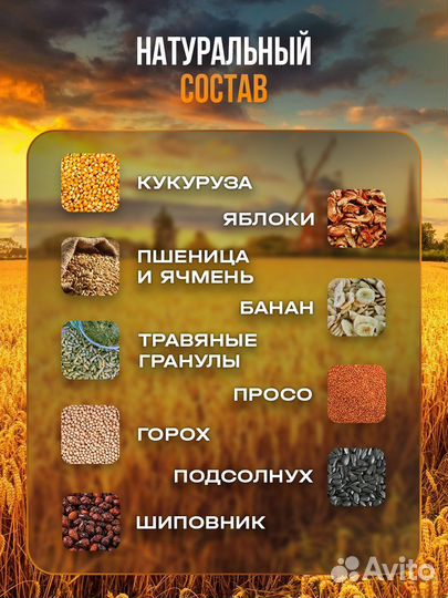 Корм для грызунов