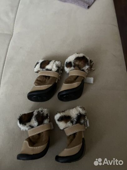 Ботинки для животных