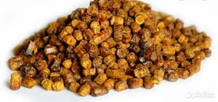 Перга пчелиная