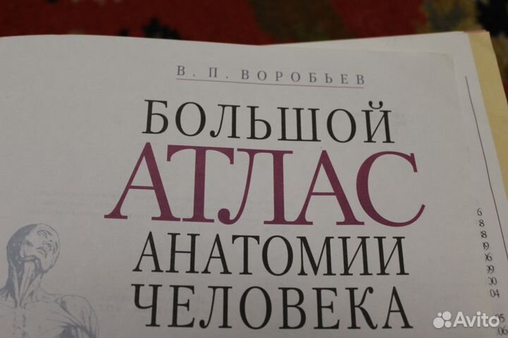 Энциклопедия