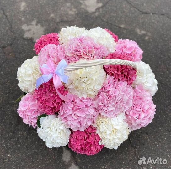 Голландские гортензии / Доставка цветов