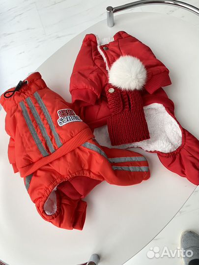 Зимний комбинезон для собак мелких пород