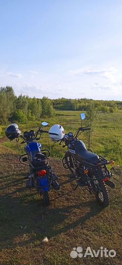 Альфа