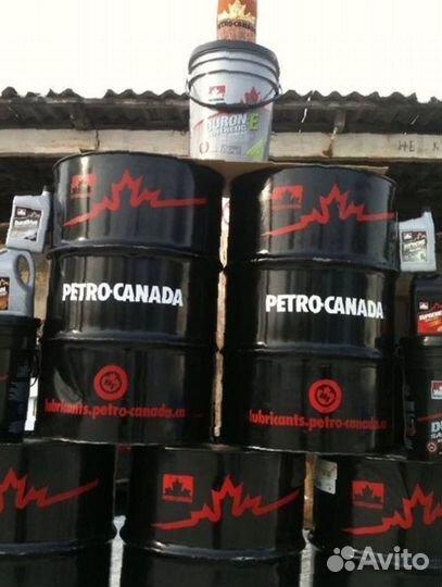 Моторное масло petro-canada 10w30