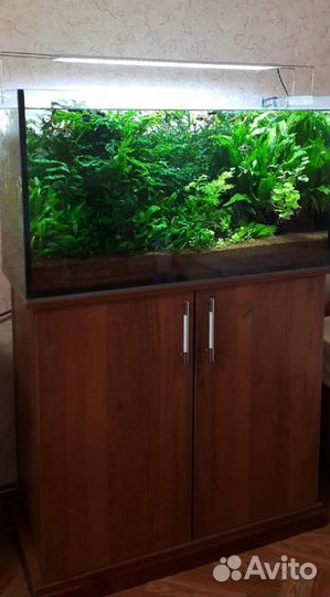 Аквариум с тумбой