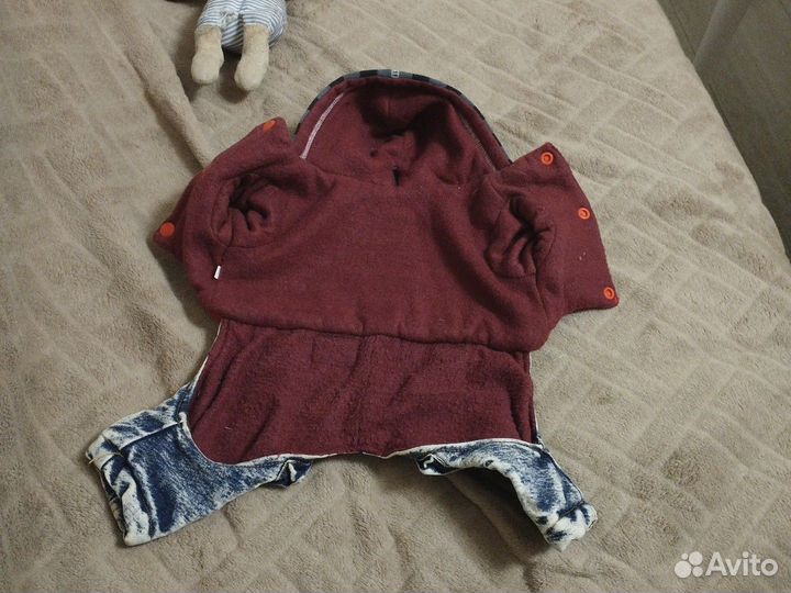 Одежда для собаки, мелкой породы