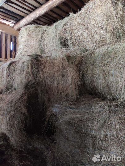 Продам сено в рулонах 450кг