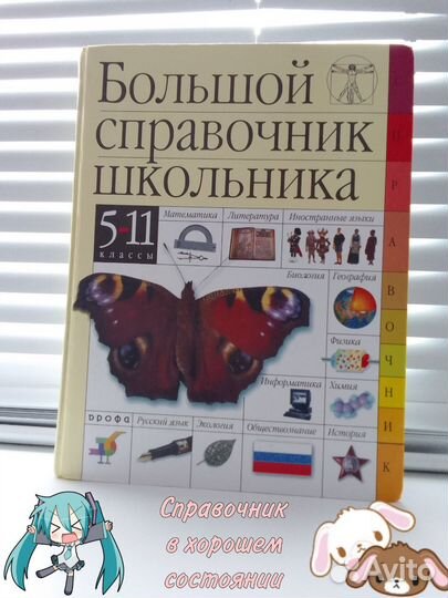 Большой справочник школьный