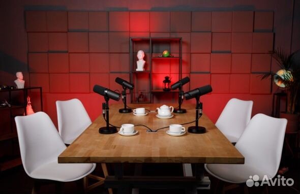 Подкасты. Съёмка интервью