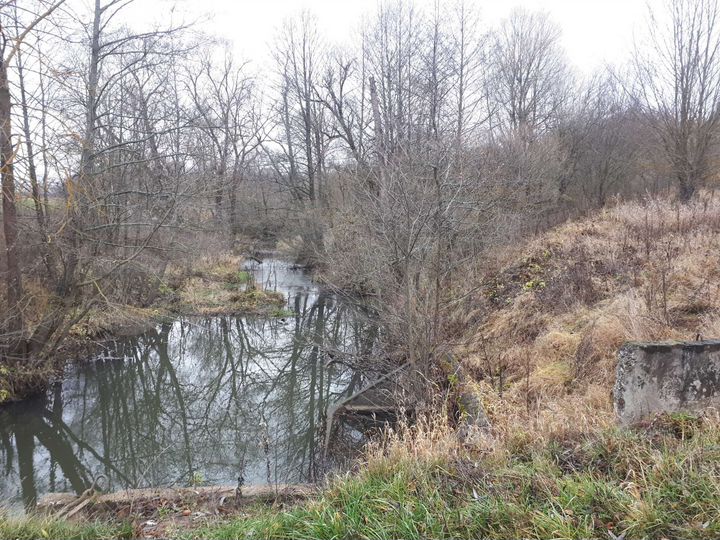 Участок 57 сот. (ИЖС)