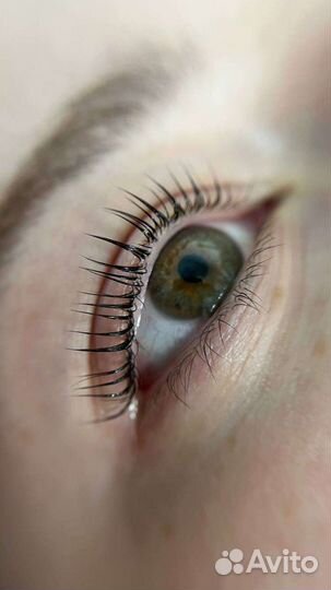 Ламинирование бровей