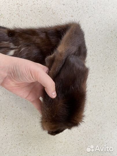 Шкурки норки