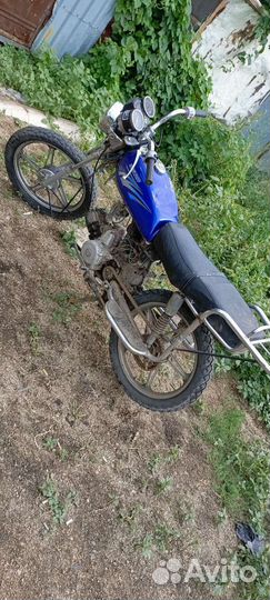 Продам альфу