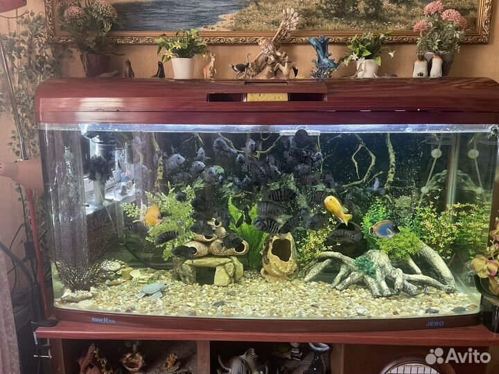 Продам аквариум Jebo 320л