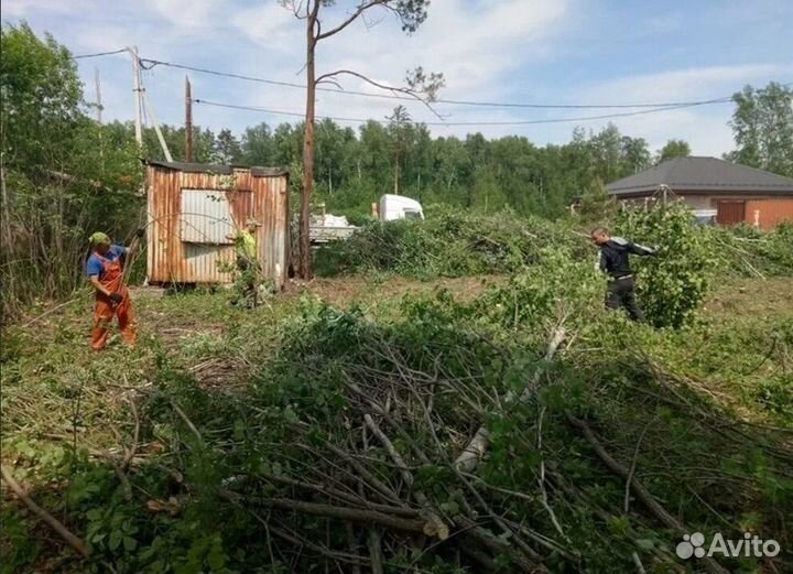 Расчистка участка от деревьев и кустарников