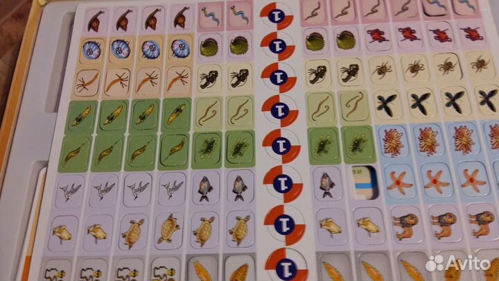 Настольная игра