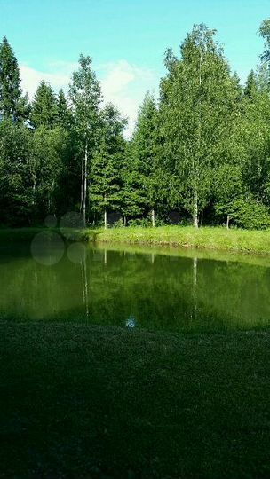 Коттедж 120 м² на участке 12 сот.