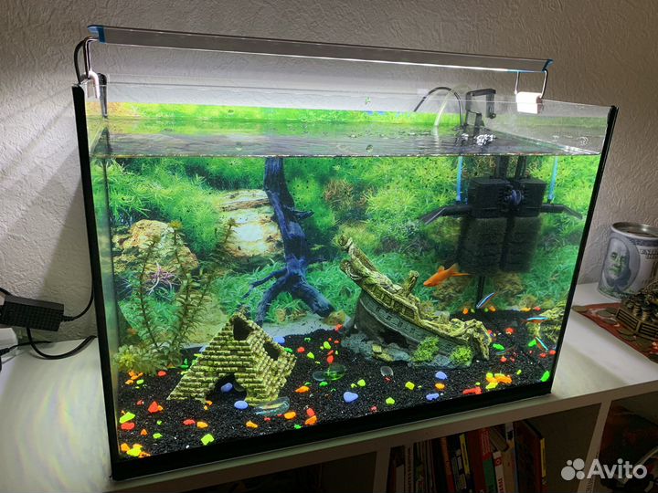 Аквариум с рыбками