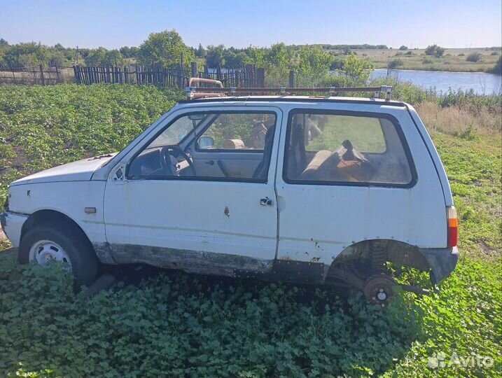 Шрус ока