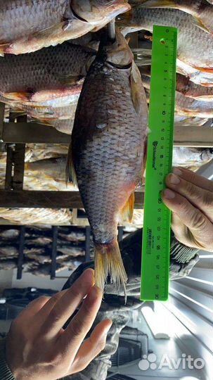 Красная икра, рыба вяленая, копченая оптом