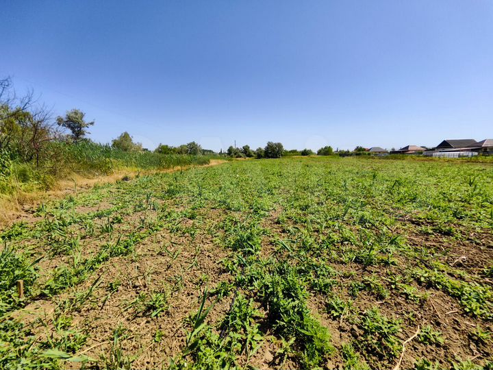 Участок 48 сот. (ИЖС)