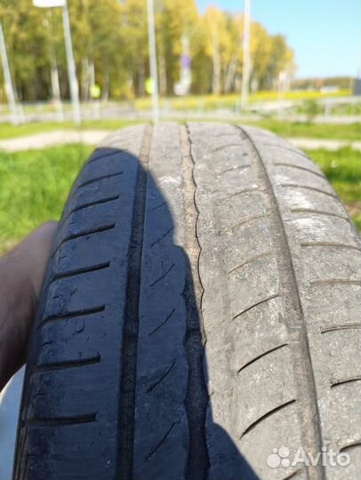 Pirelli Cinturato P1 Verde 195/65 R15