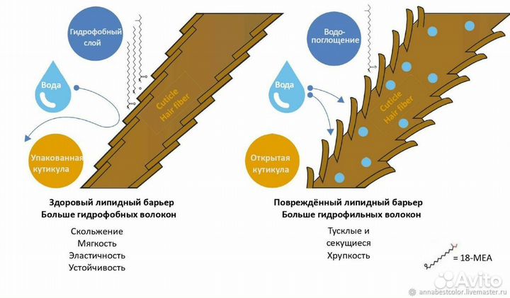 18 мэа (верхний липид волоса, из ланолина)