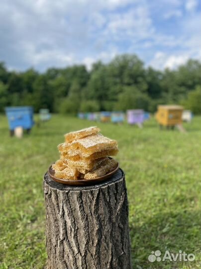 Мед натуральный с доставкой и другие пчелопродукты