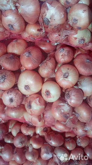 Лук на перо