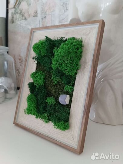 Картина из стабилизированного мха