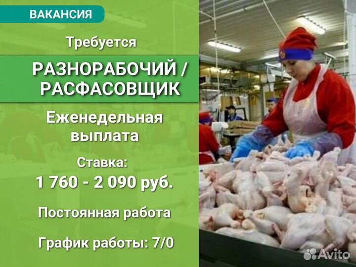 Расфасовщик / Разнорабочий. Еженедельная выплата