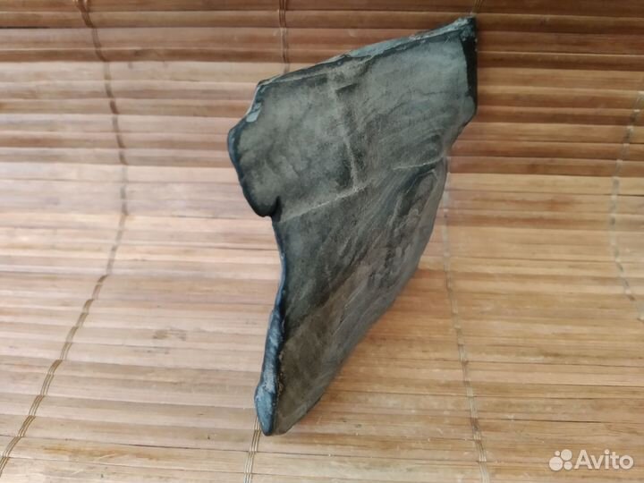 Окаменелое дерево минерал окаменелость образец кам