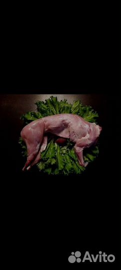 Крольчатина