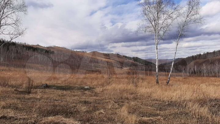 Участок 195 га (СНТ, ДНП)