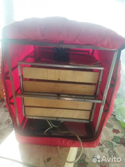 Инкубатор для яиц автоматический бу