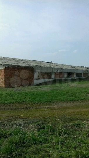 Склад жби клюшки стаканы