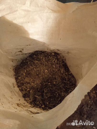 Навоз куриный