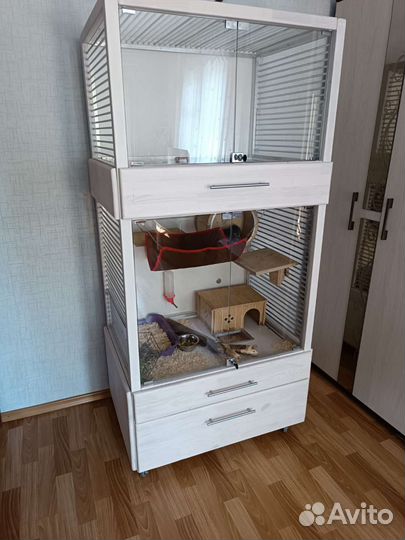 Витринна для шиншилл