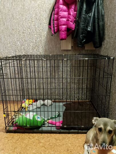 Клетка для собак 6 номер