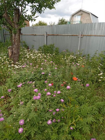 Участок 5,5 сот. (СНТ, ДНП)