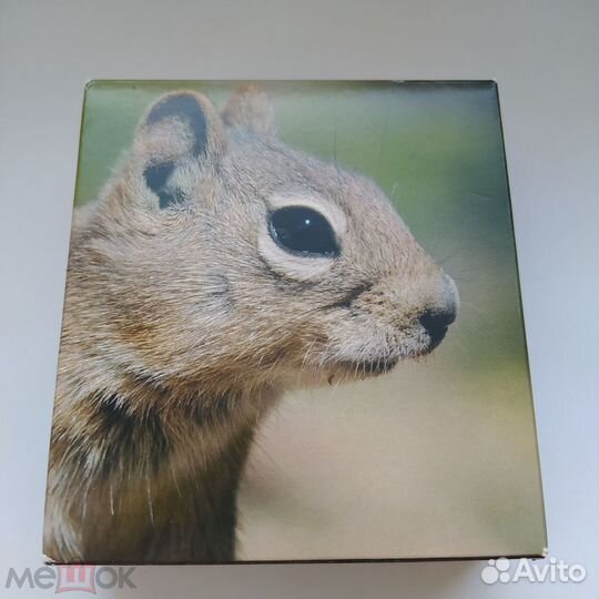 Палау 5 долларов 2013 Белка Серебро Тираж - 1000шт