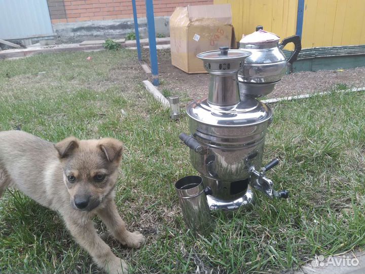 Дровяной самовар. Л 4