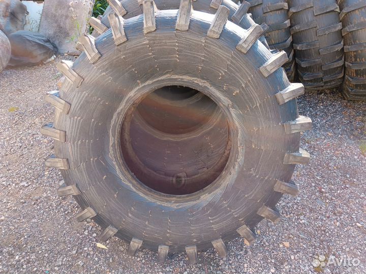 Ои 25 ободрыши