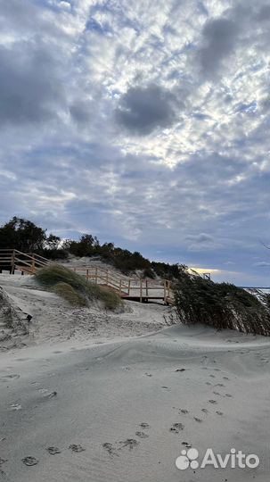 Поездка на куршскую косу, прогулка по Янтарному